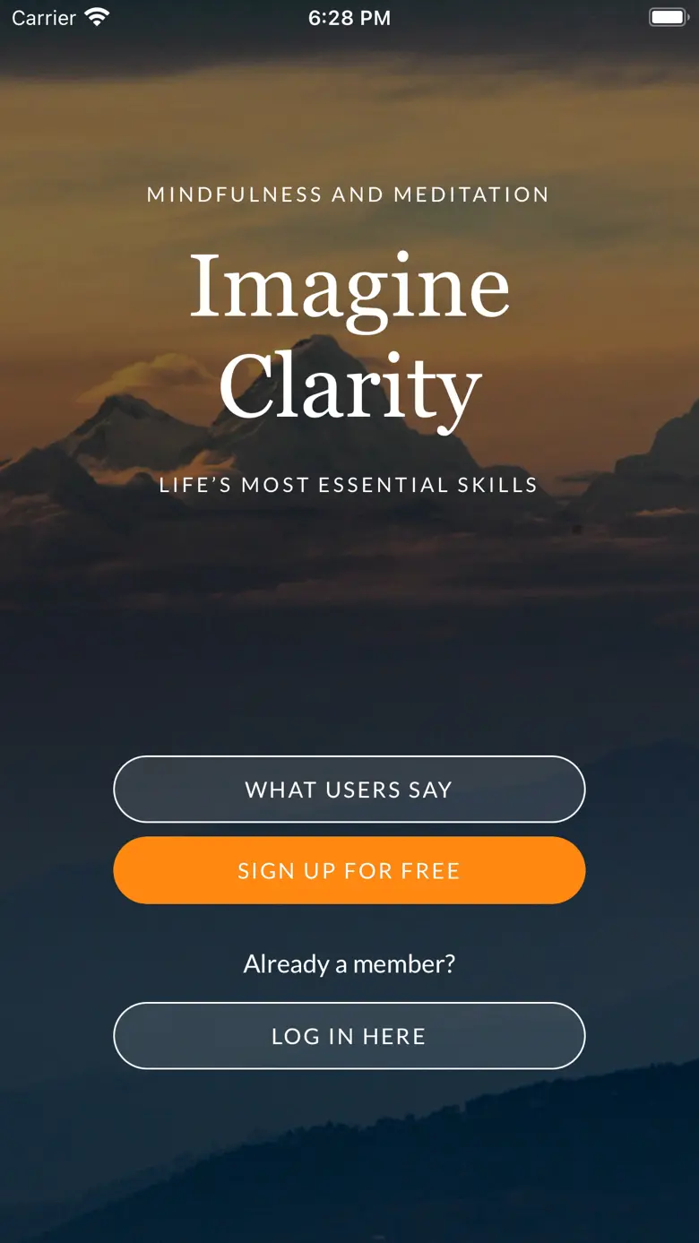 Imagine Clarity 1.1.28