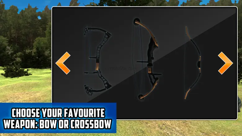 Apple Shooter: Archery World Championship 3D 1.0