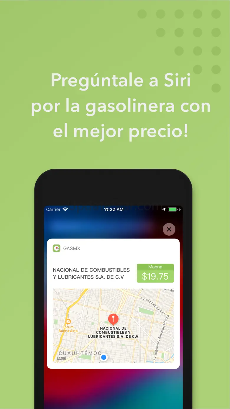 GasMX 4.1