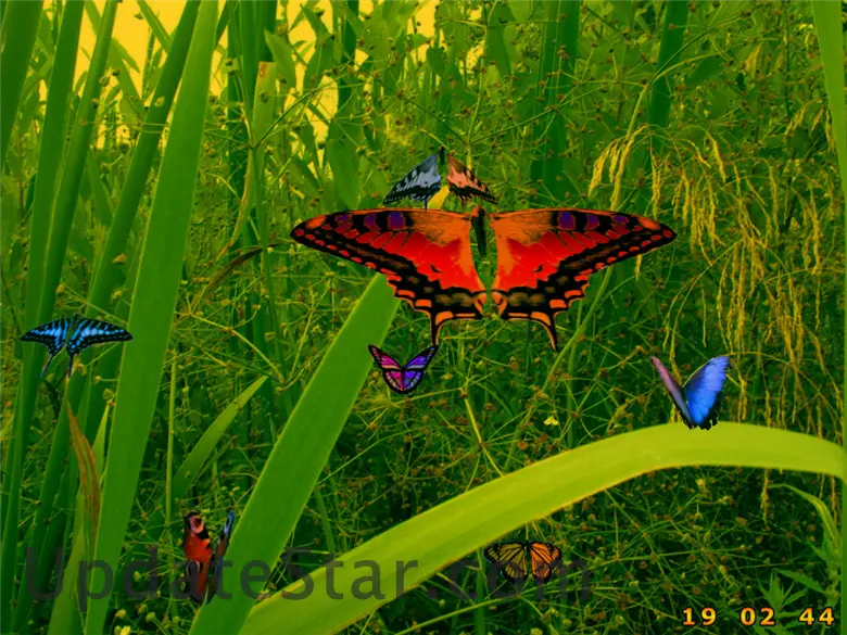 Amazing Butterflies screensaver 1.1