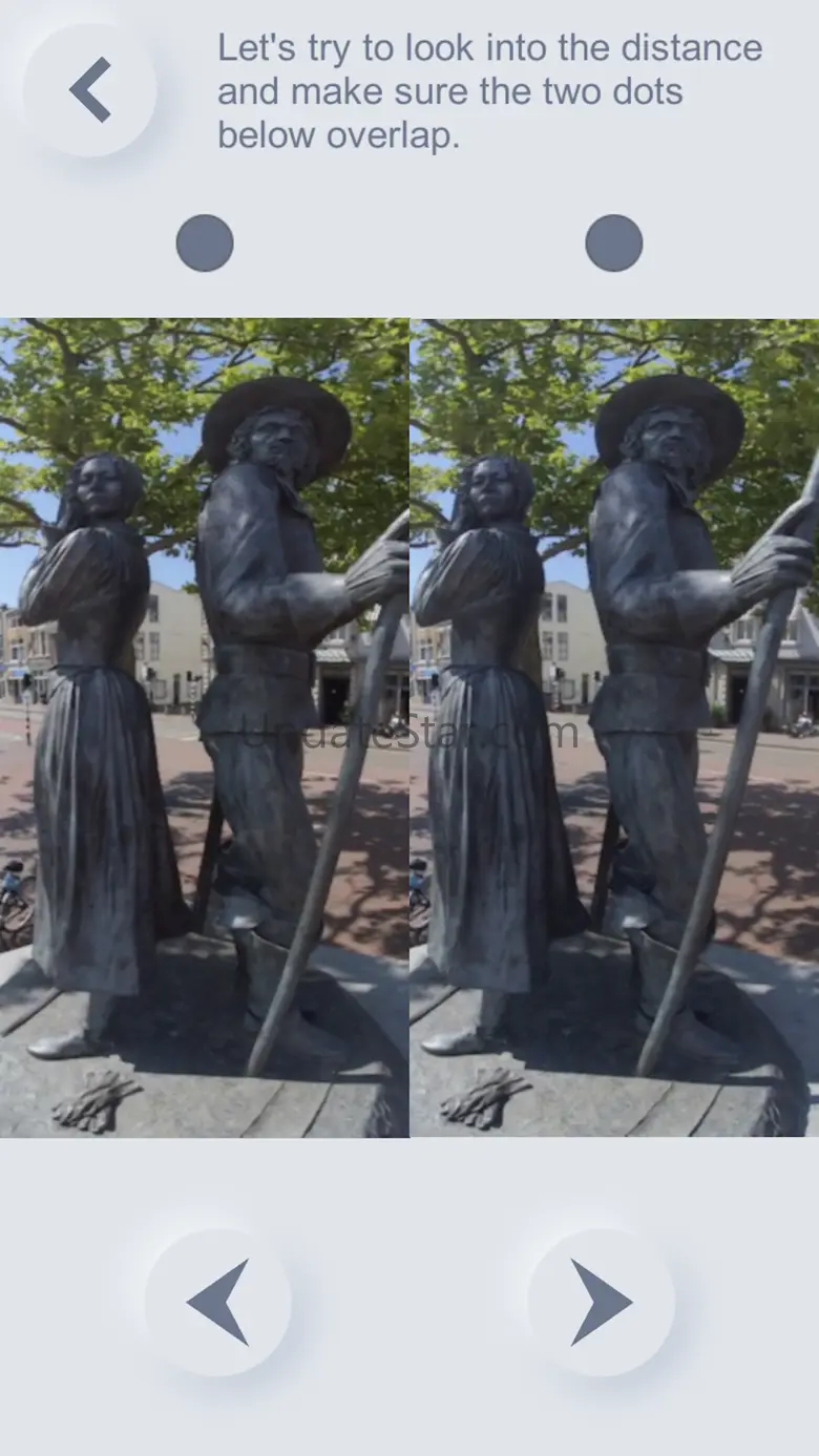 Stereogram Vision Training 3.0.3