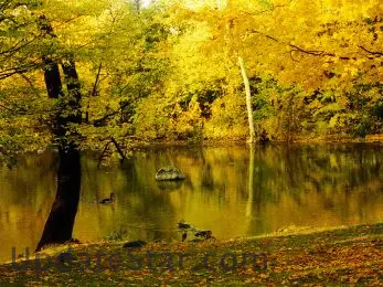 Autumn [AD] 5.7