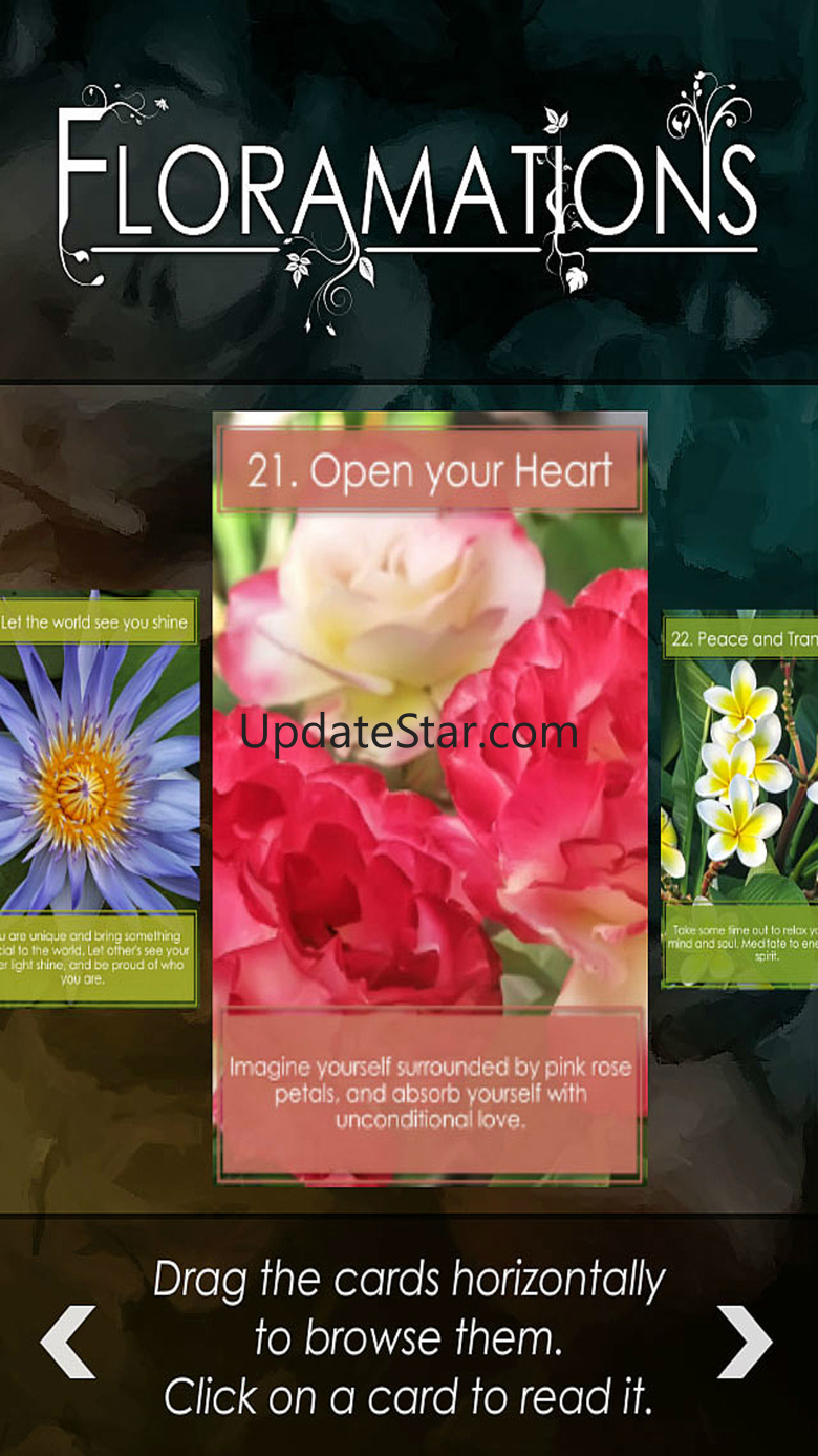Floramations Oracle Cards 2.5