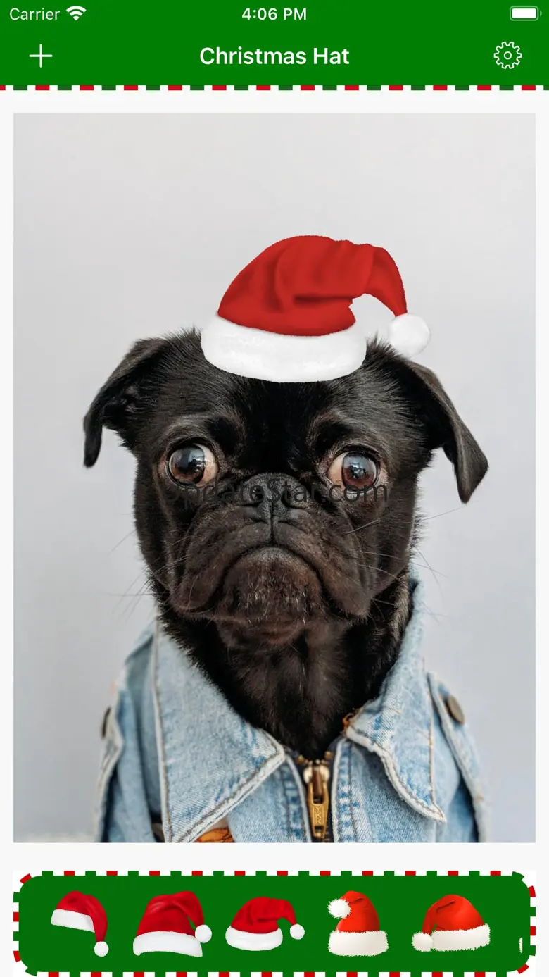 Christmas Hat - Nice Picture 1.0.6