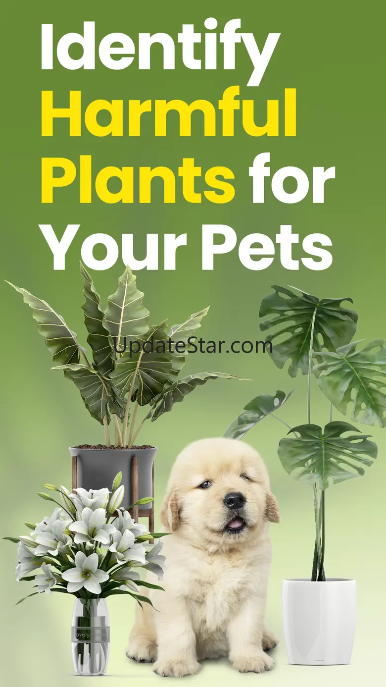 Pet Protect Plan: Toxic Plant 2.3.1