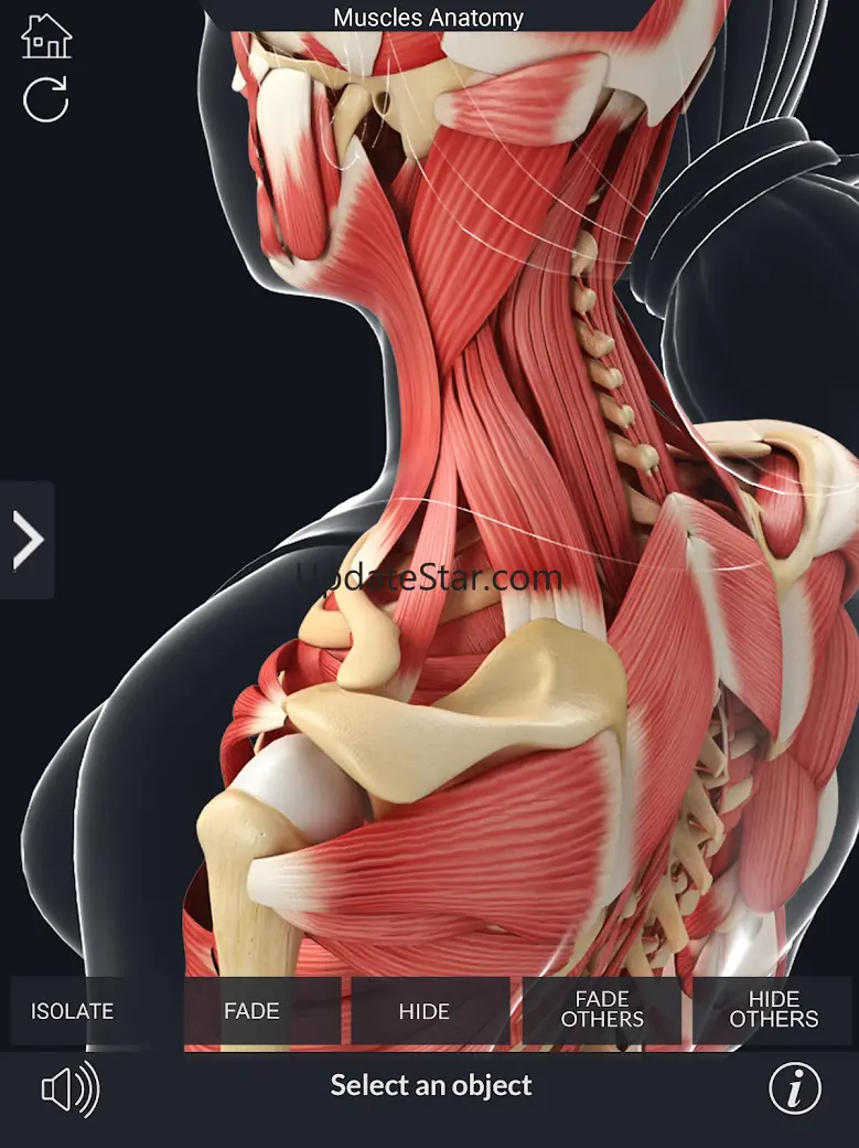 My Muscle Anatomy 3.5