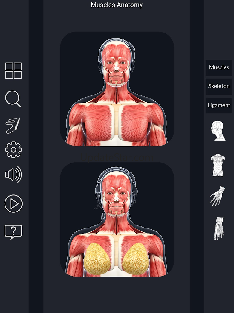 My Muscle Anatomy 3.5
