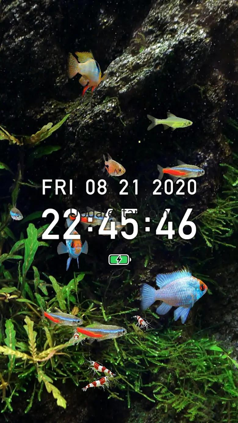 Tropical Aquarium - Mini Aqua 4.1