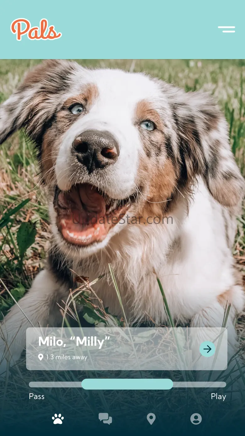 Pals - Sit. Swipe. Play. 1.1.7