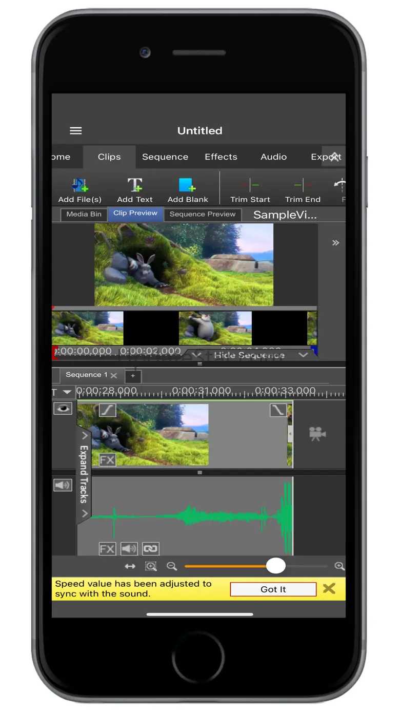 VideoPad Masters 12.19