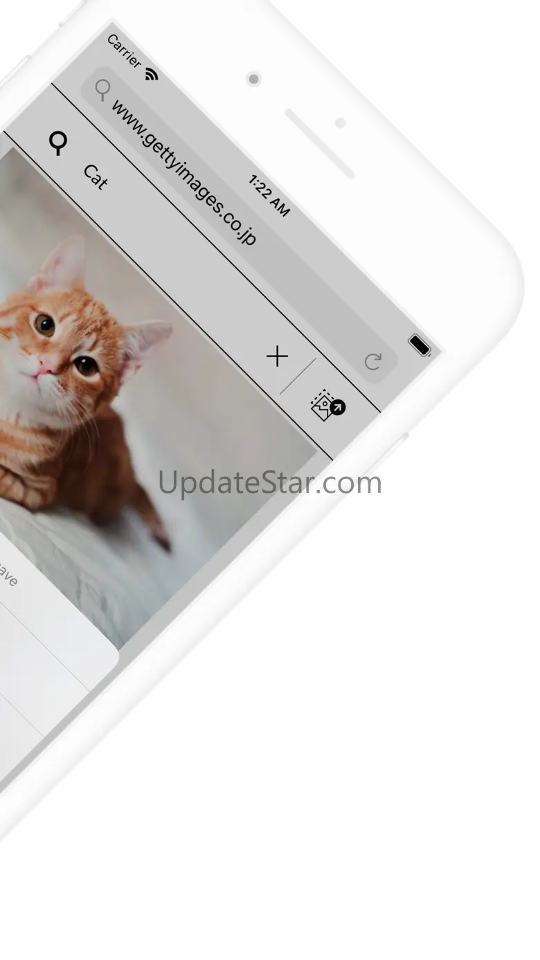 Web Image Downloader - Picket 2.3.4
