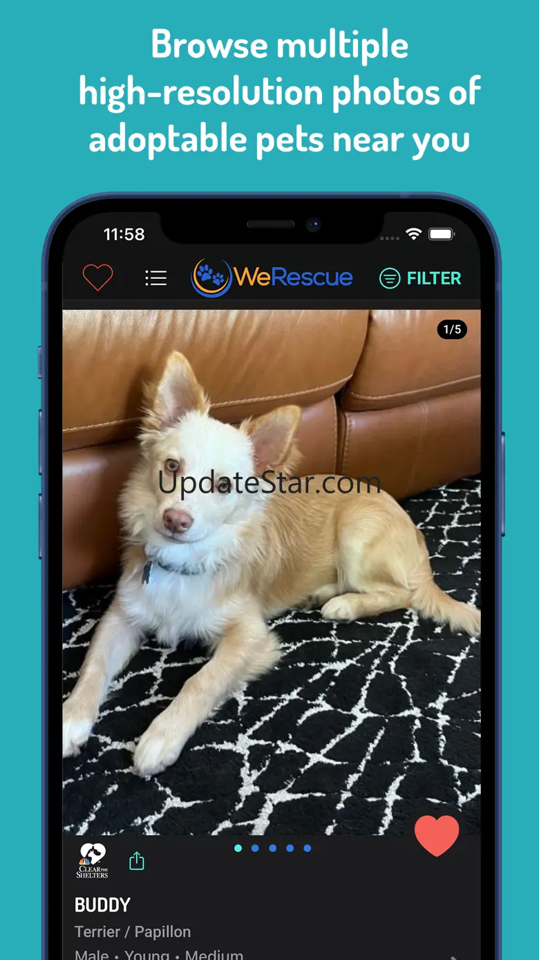 WeRescue: Adopt a Pet Search 6.5.0