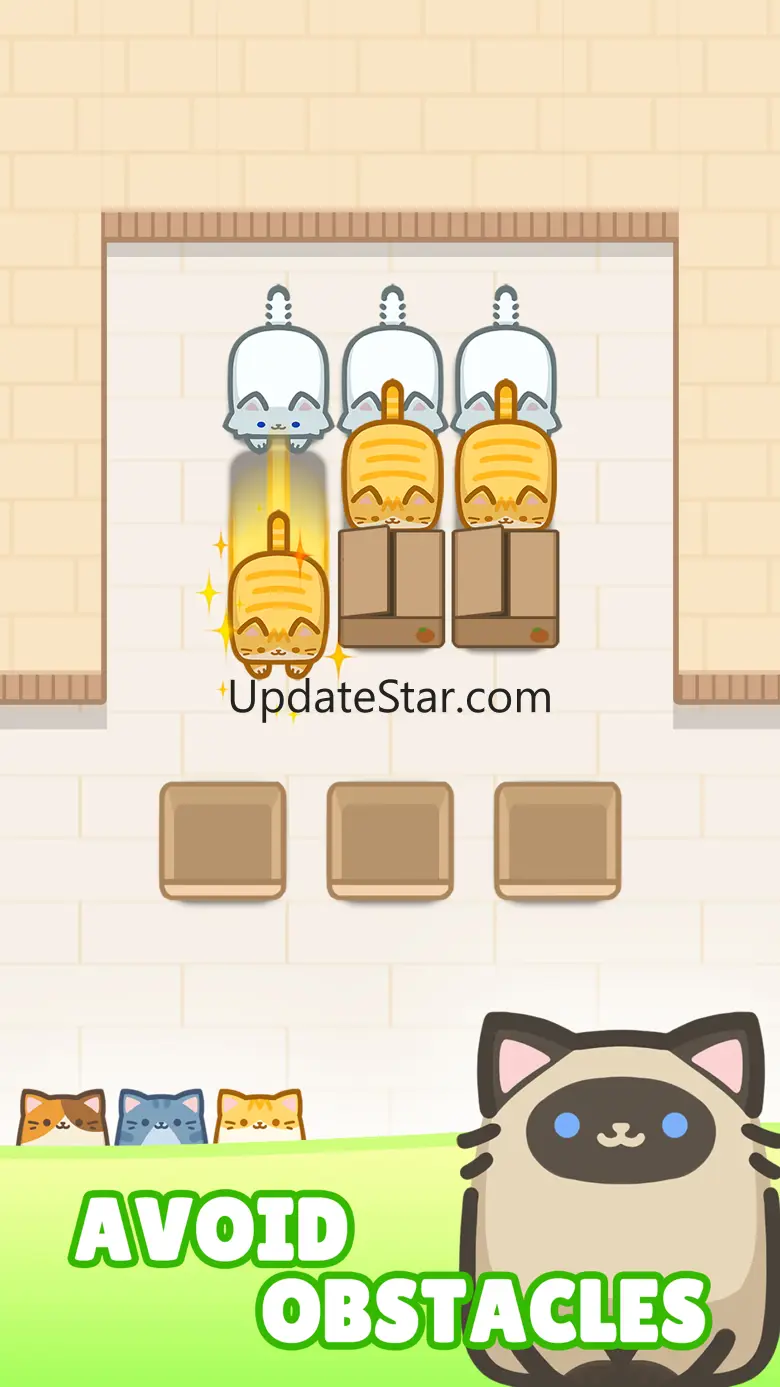 Box Cat Jam 13