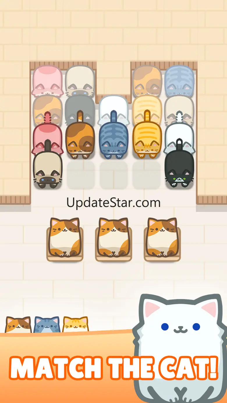 Box Cat Jam 13