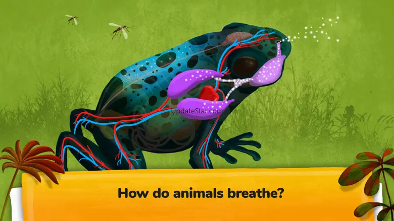 The Animals - Games For Kids 3.4.2