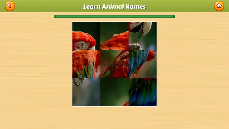 Animal Names Cards 3.4.5