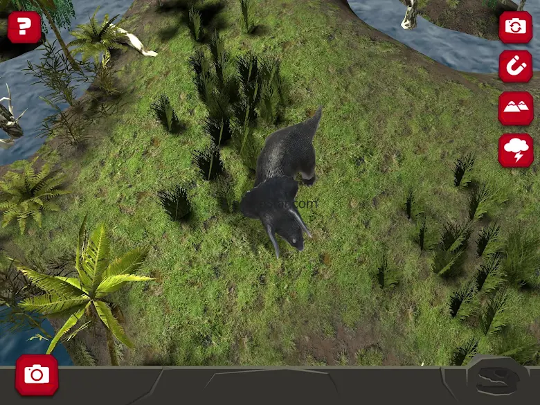 Legendary Creatures