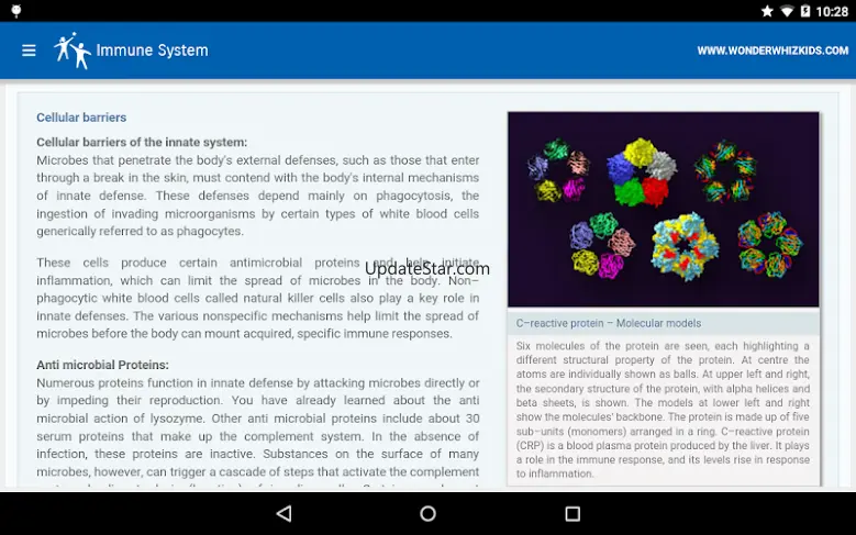 Immune System 82.3.08