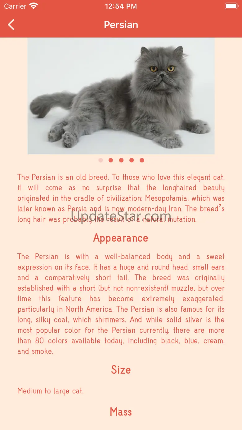 Darling cats 2.0