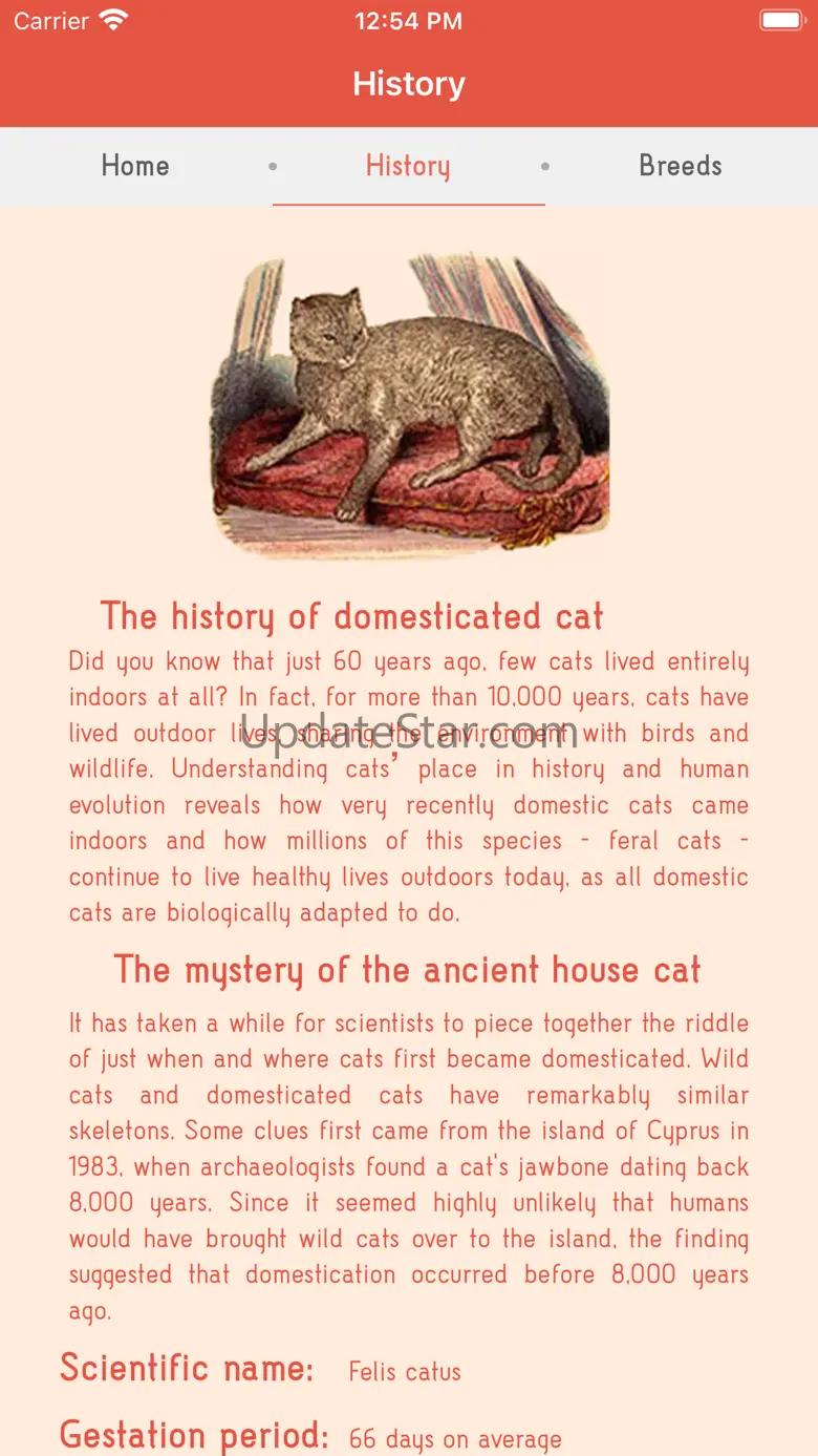 Darling cats 2.0