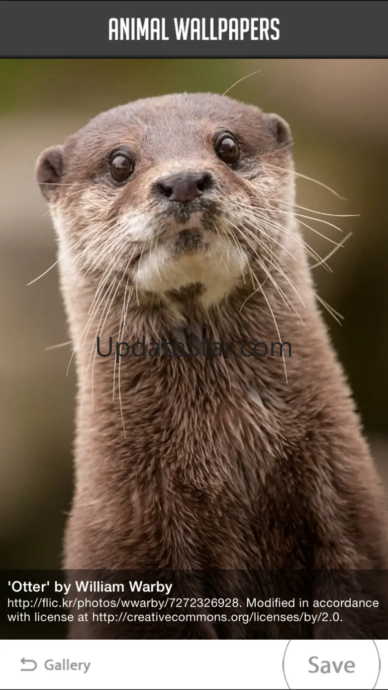Animal Wallpapers! 2.0