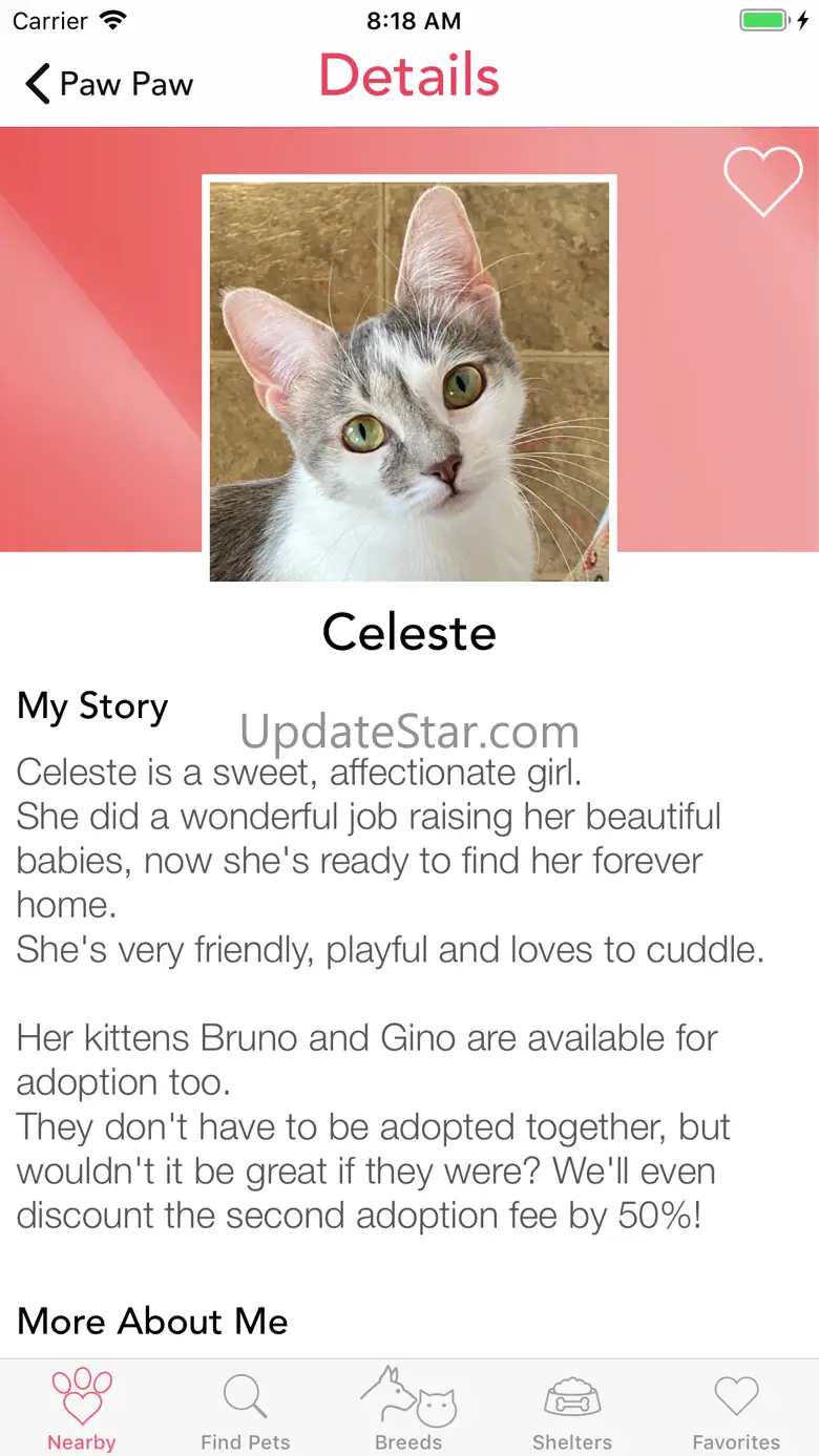 Paw Paw - Pet Adoption 3.2.5
