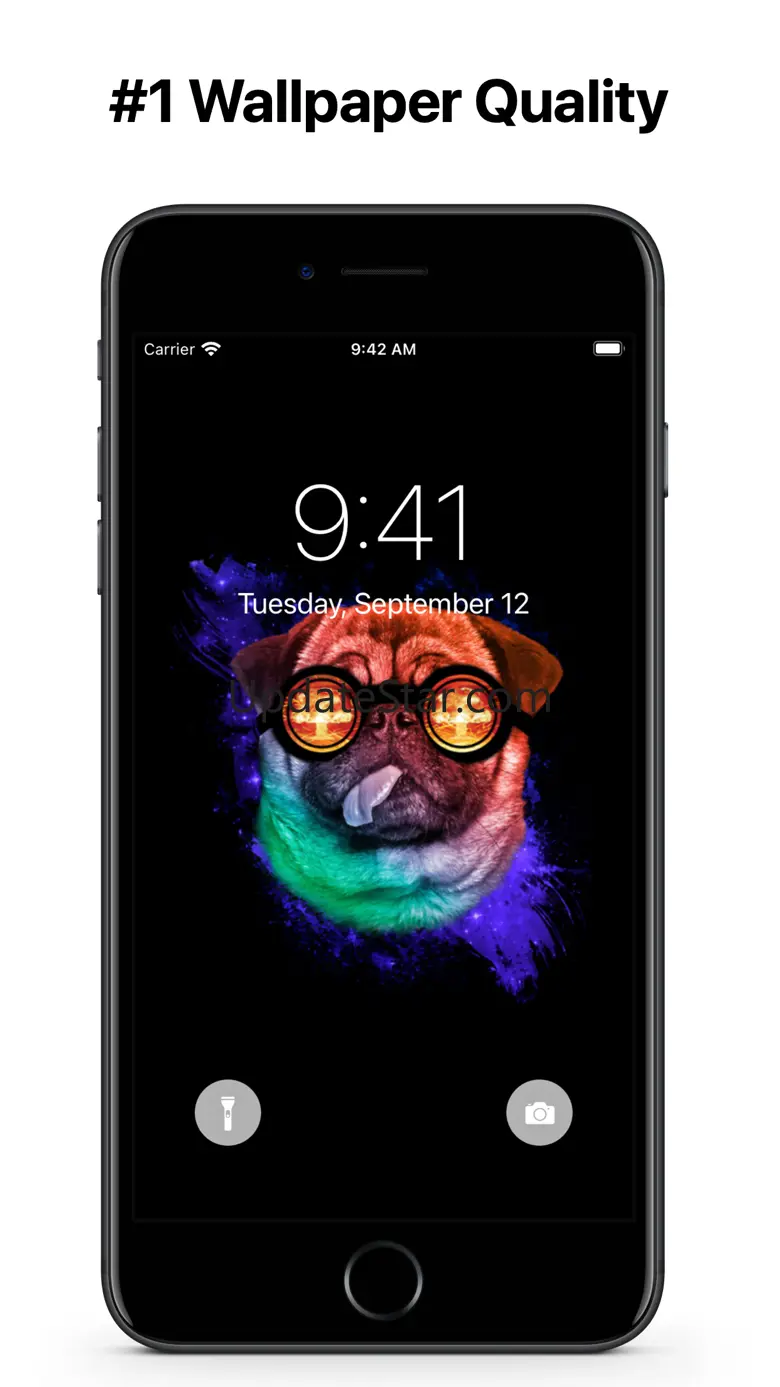 Dogs Wallpapers 4K HQ Notch 1.1.5