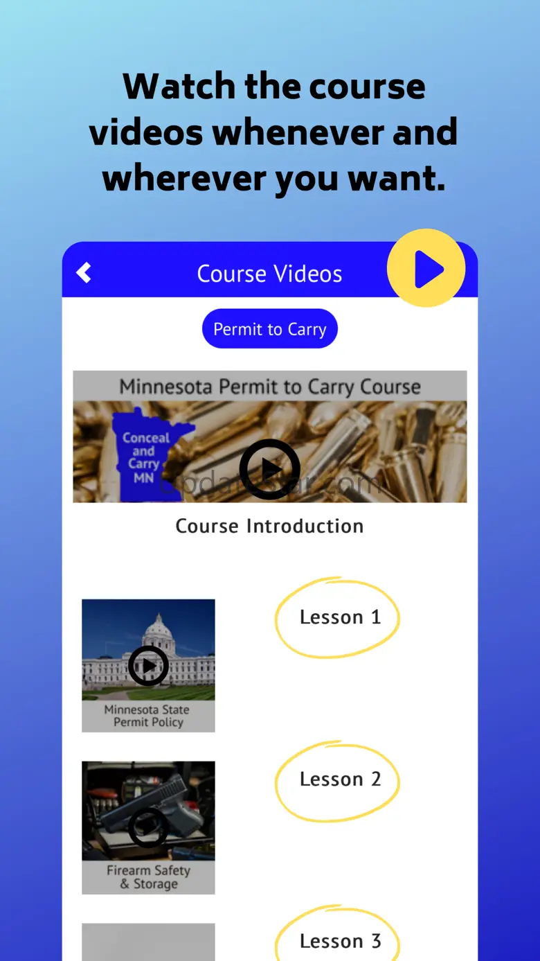Conceal and Carry MN 2.0