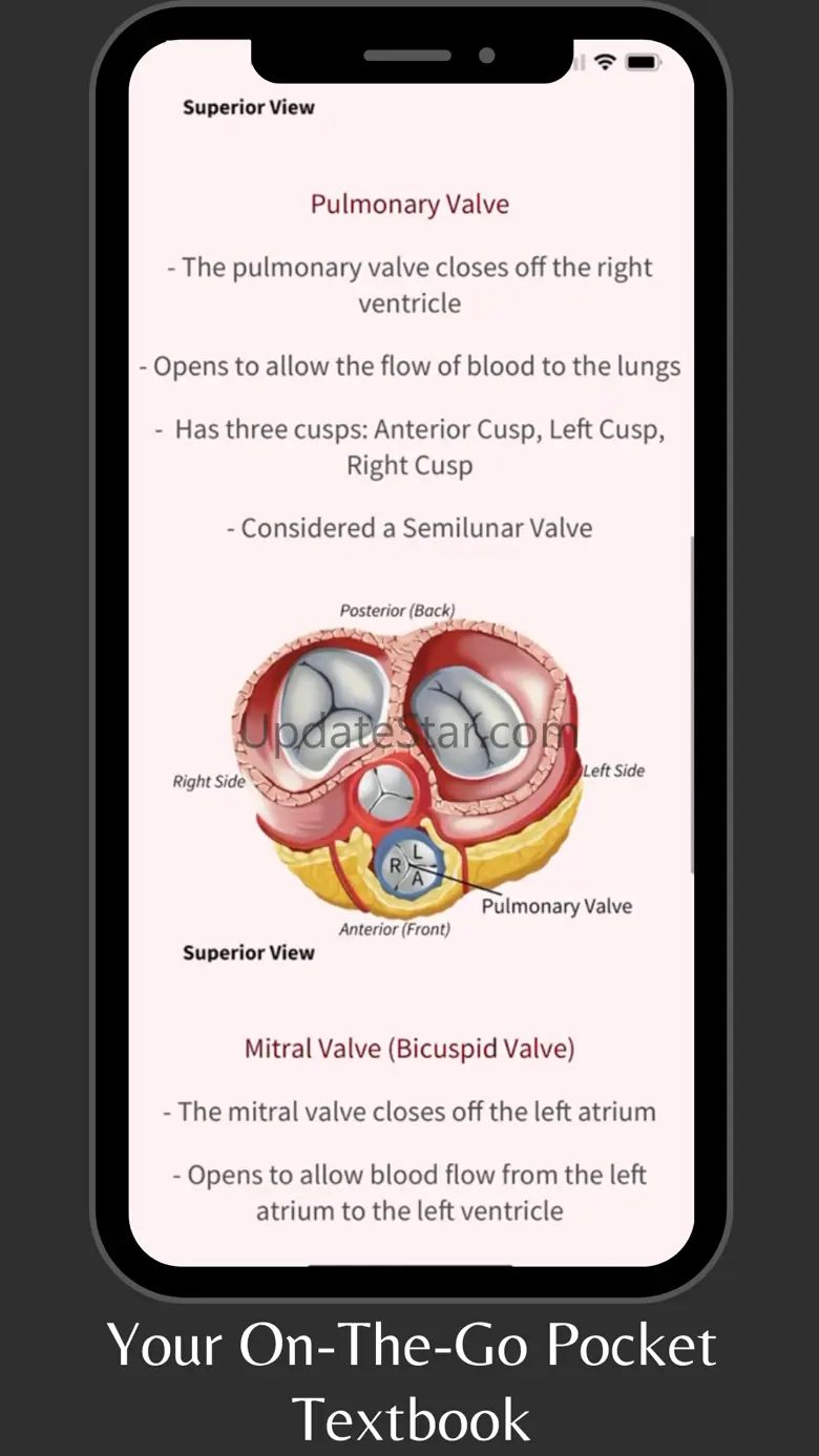 Heart Anatomy and Physiology 1.0