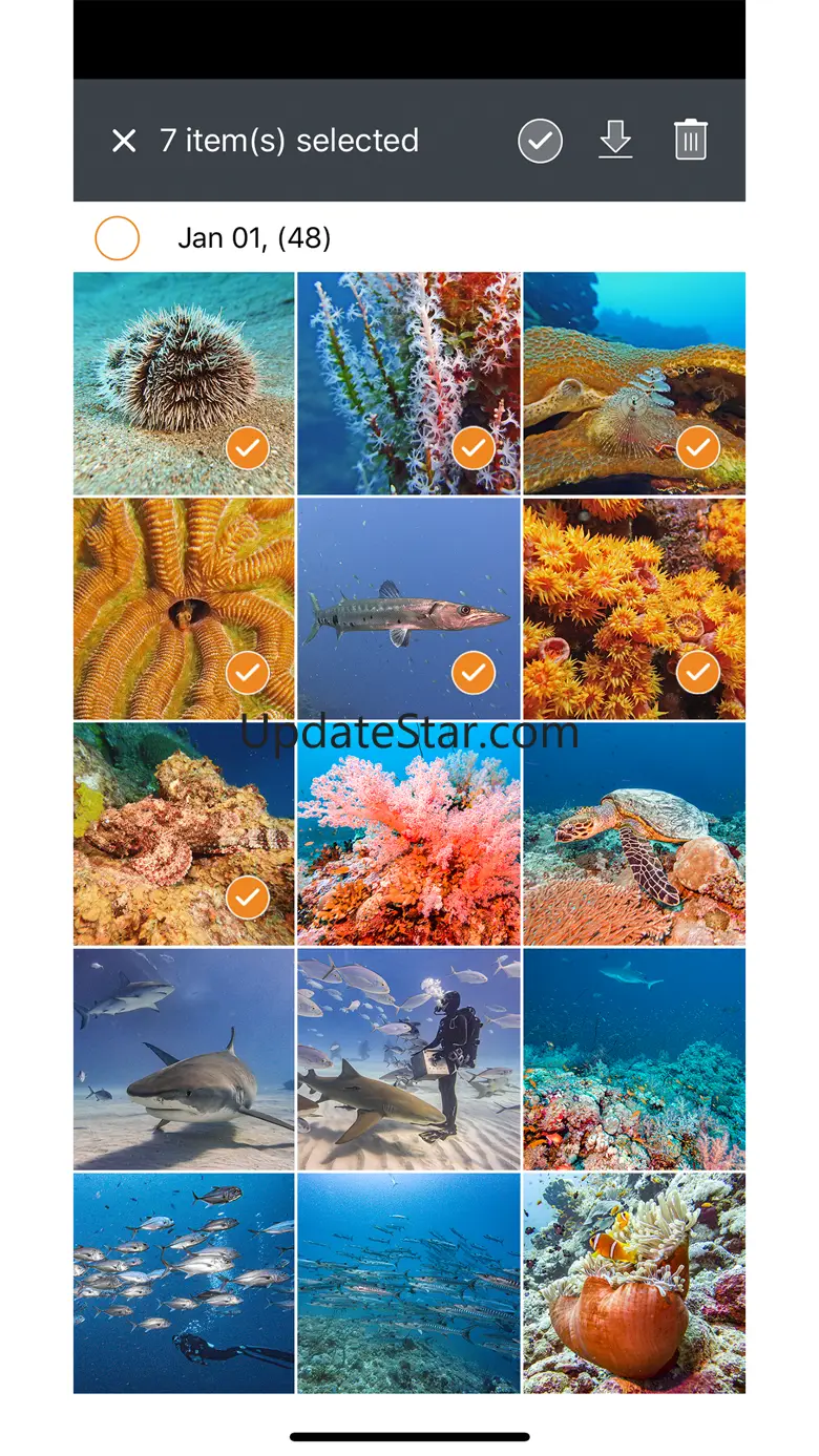 SeaLife Micro 3+ 1.08.0