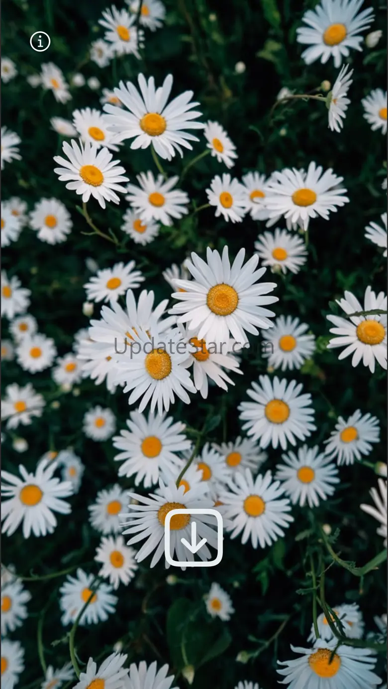 WLPPR - backgrounds wallpapers 2.5