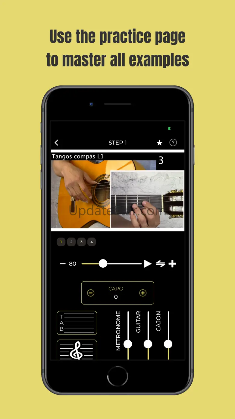 Learn Flamenco Guitar 2.2