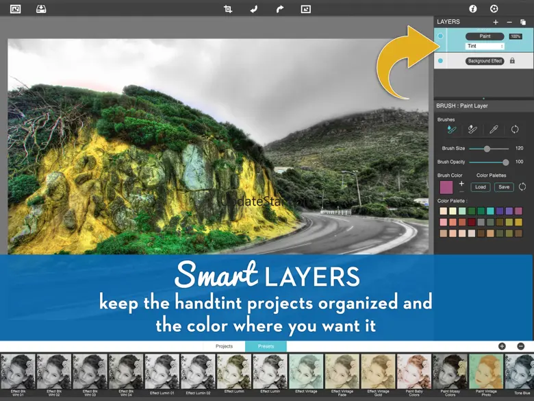 Hand Tint Pro