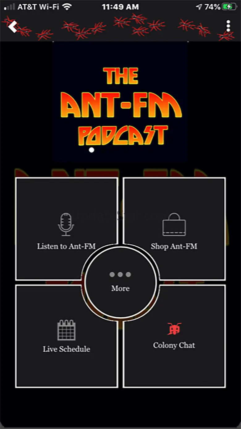 Ant-FM 1.1