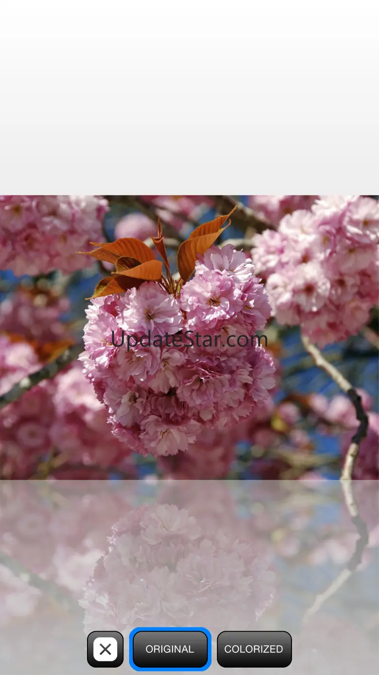 Colorize 1.6