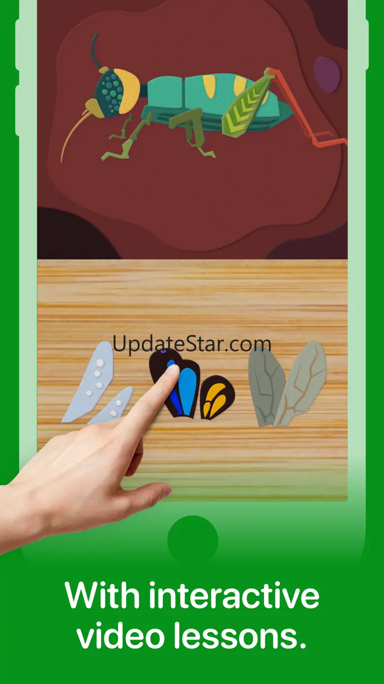 Fun Insects & Bugs for Kids 1.0.7