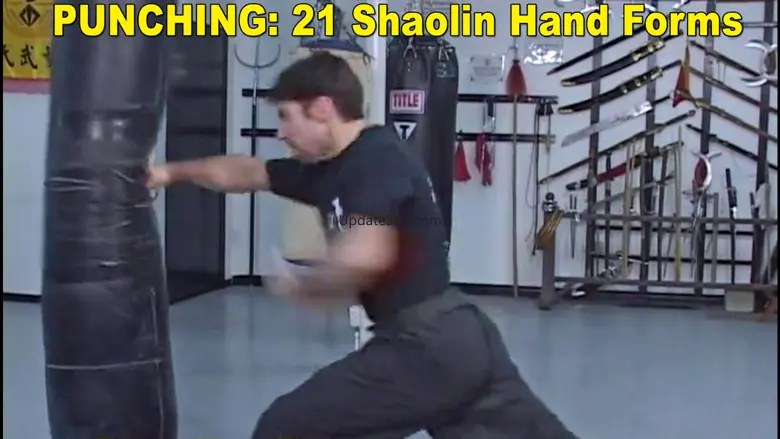 Shaolin Kung Fu Fundamental 1.0.7