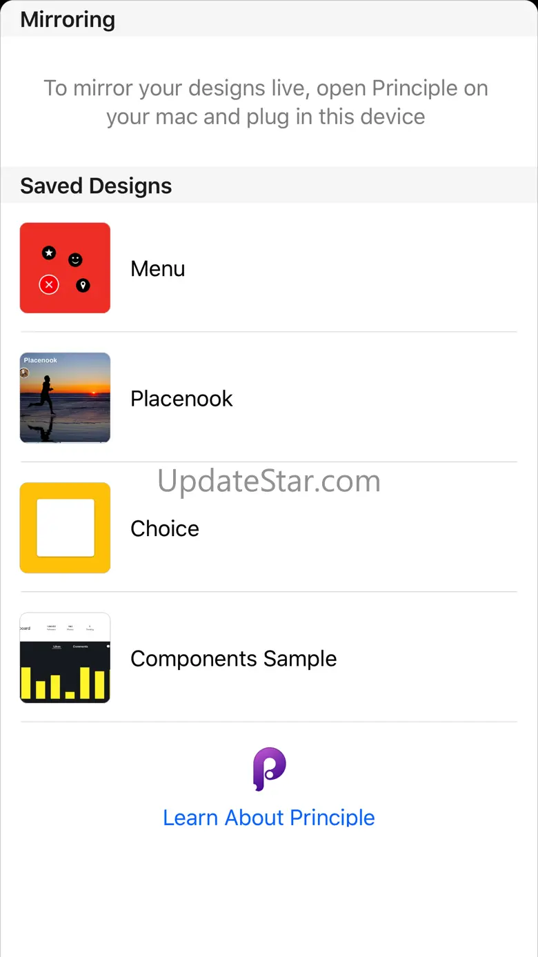Principle Mirror 5.5