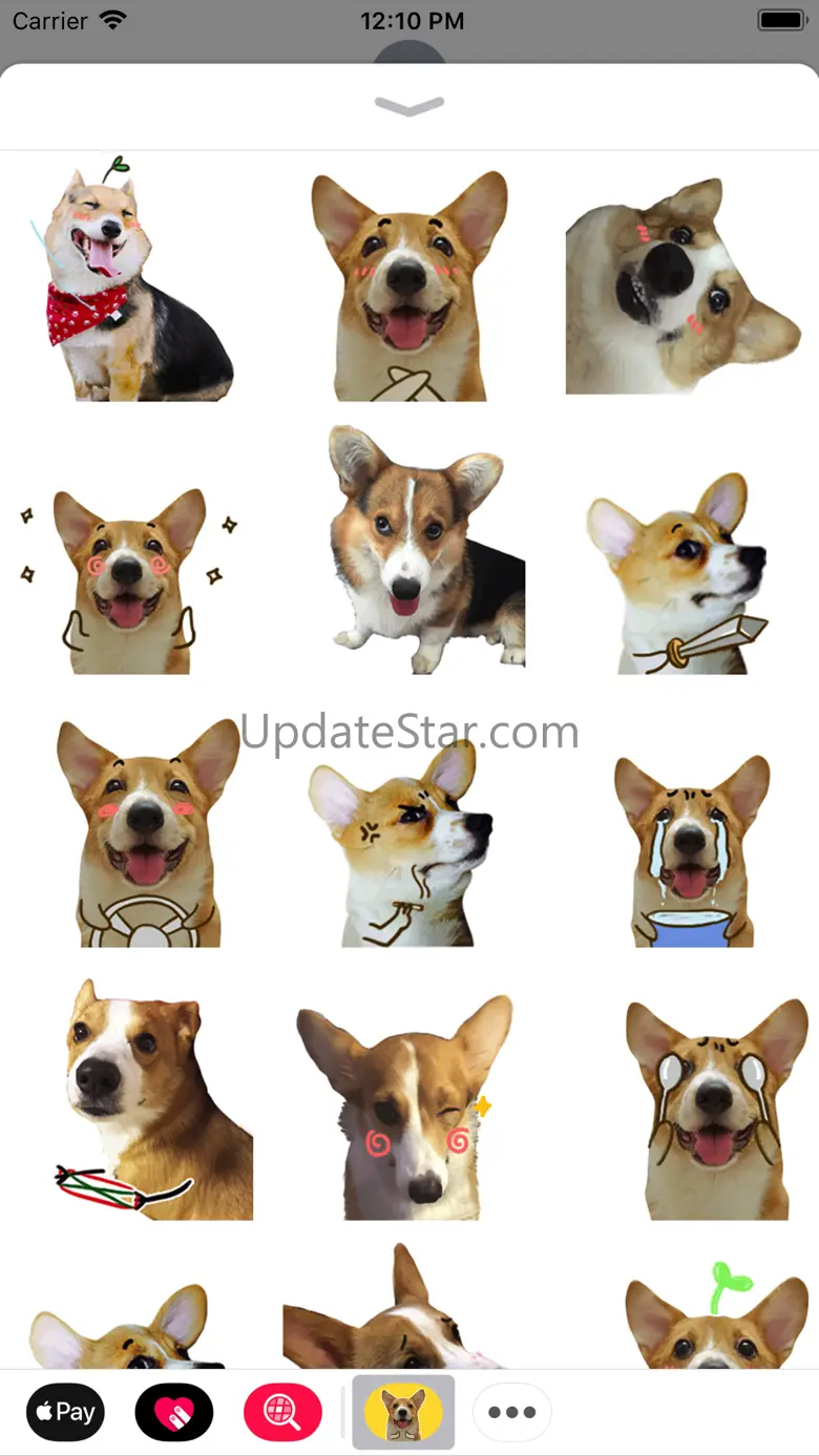 Puppy Face Animated Stickers 1.0