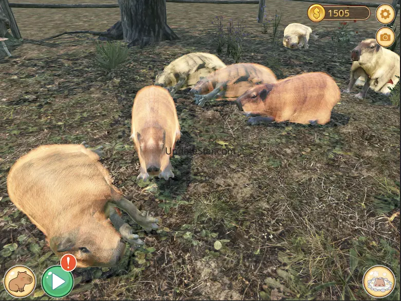 Capybara Zoo 2.6.4