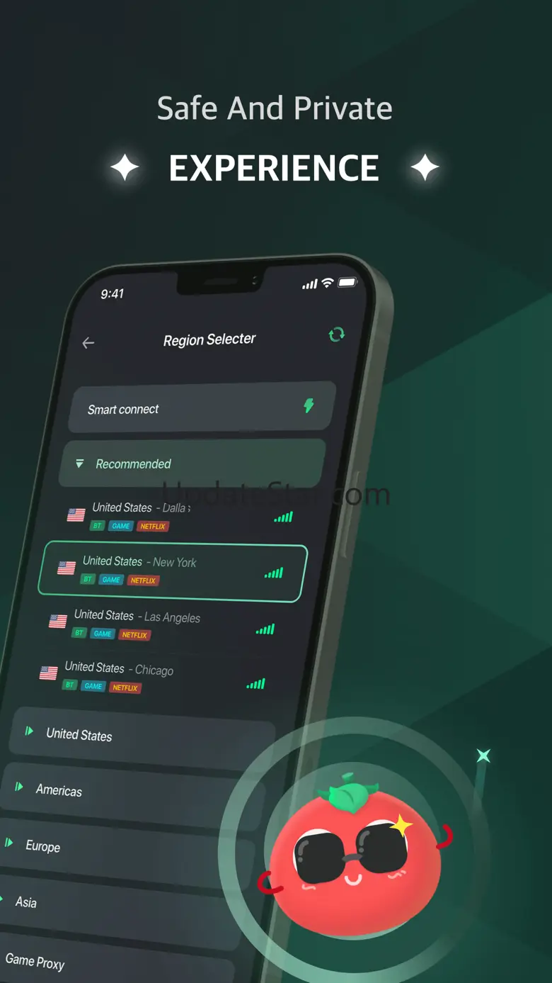 VPN Tomato Pro - Fast & Secure 40038