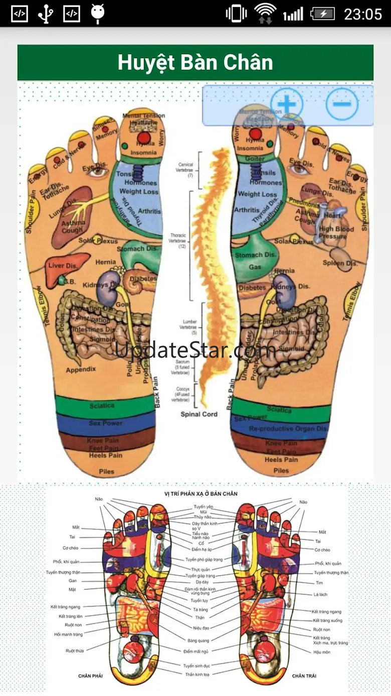 Mẹo Dân Gian Trị Các Bệnh