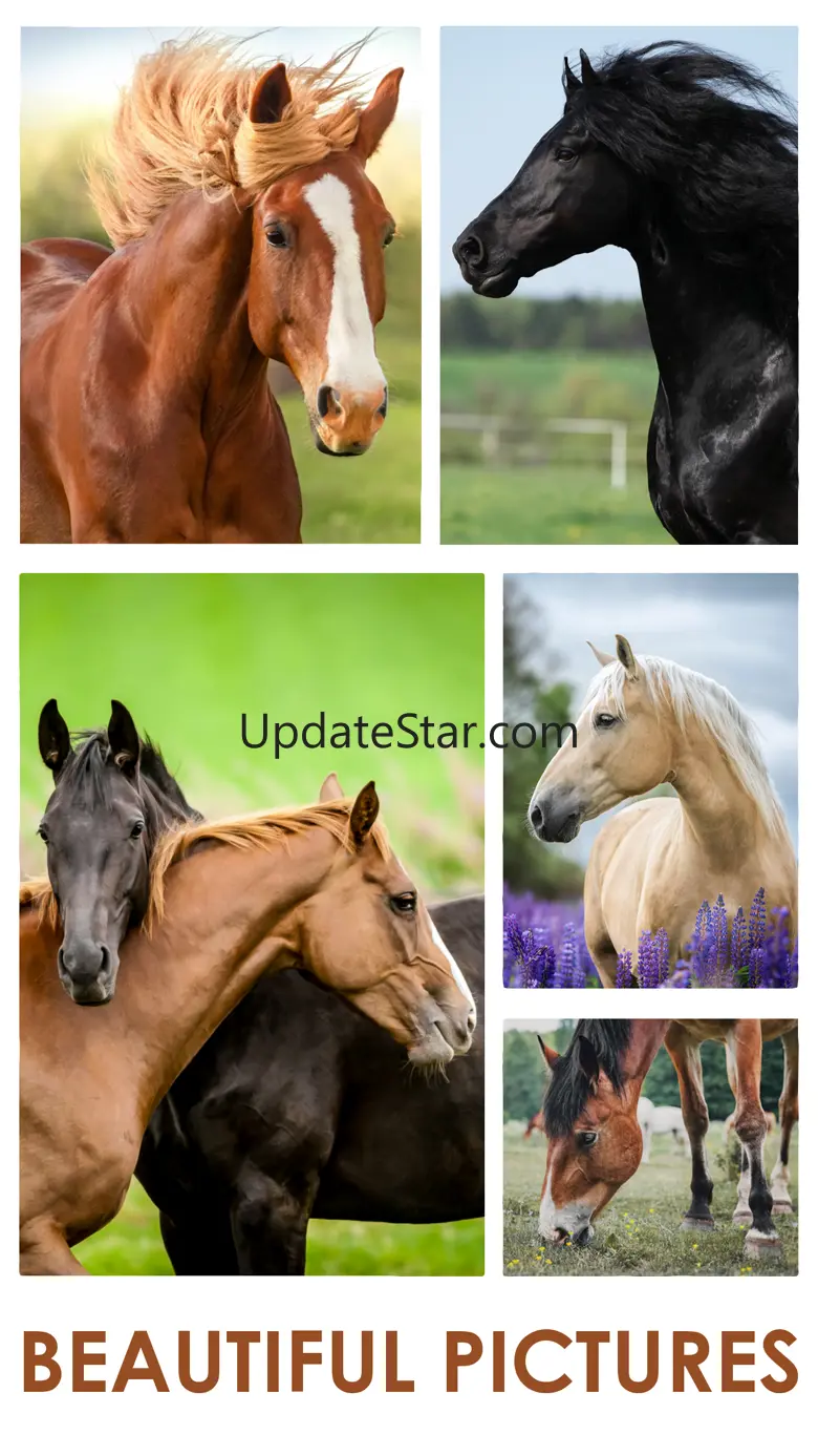 Horses Jigsaw Puzzles for Kids 1.1