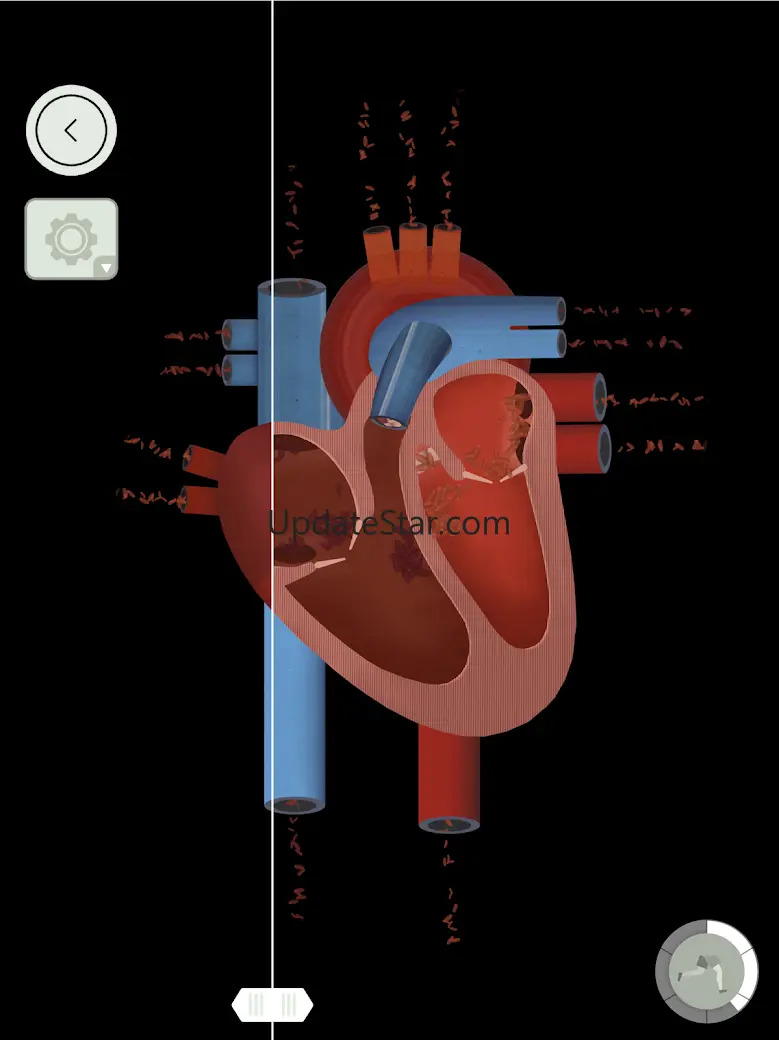 The Human Body - Subscription 3.0.6