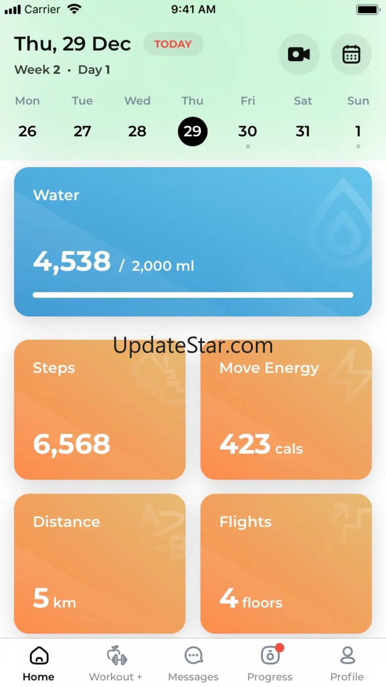 Imberryfit 2.7