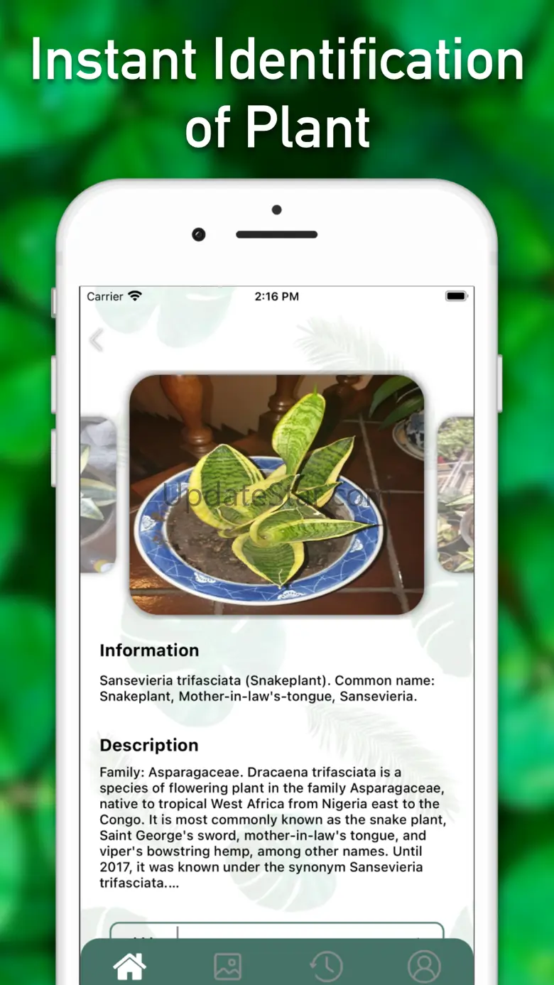 Fish Identifier ID Fish Verify 1.6.3