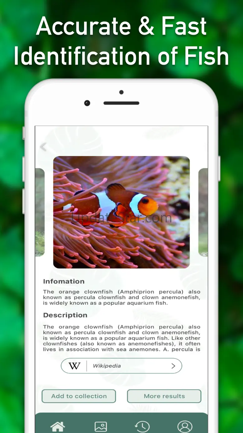 Fish Identifier ID Fish Verify 1.6.3