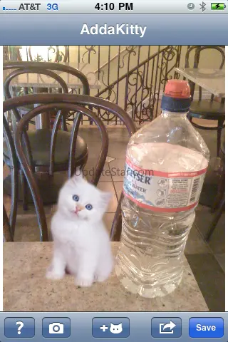 AddaKitty 1.2