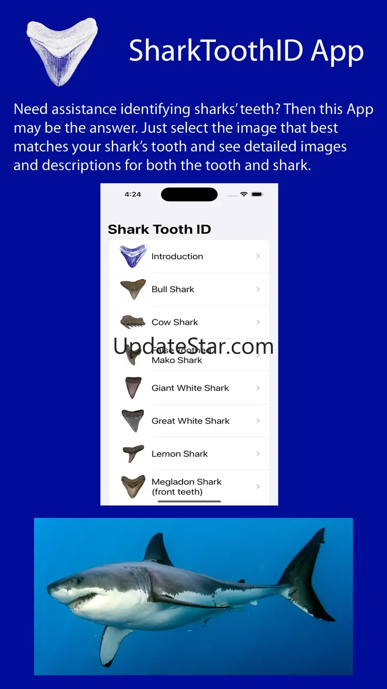 SharkToothID 3.0