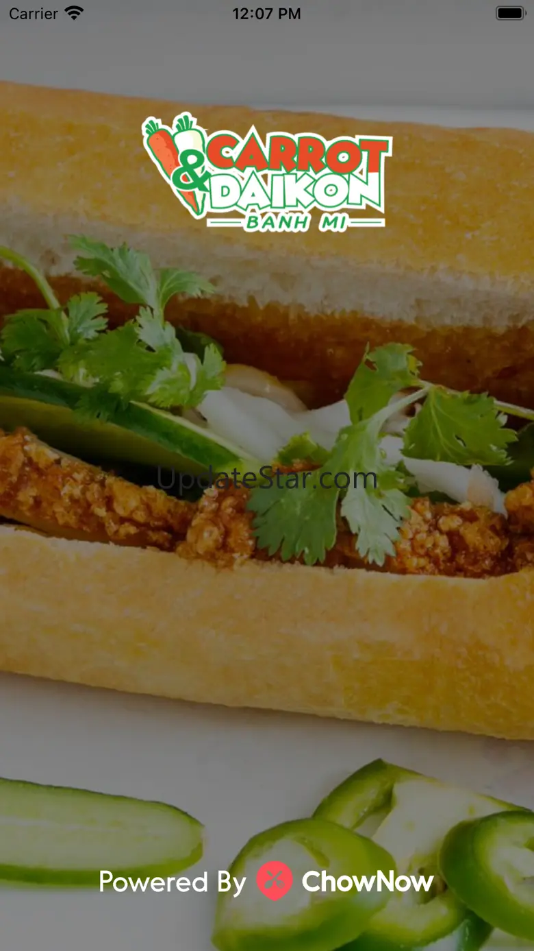Carrot And Daikon Banh Mi 3.23.1